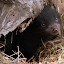 Baby Tasmanian Devil - Hobart, Australia