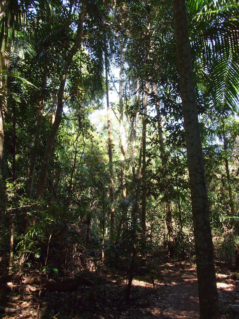 Litchfield Park - Wangi falls