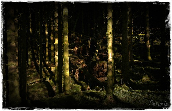 Trollet i skogen Norwegian Troll