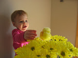 IMG_6687.JPG