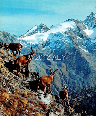 aa133 img132