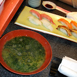 sushi in roppongi in Roppongi, Japan 