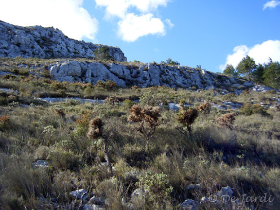 2012_01290025r.jpg