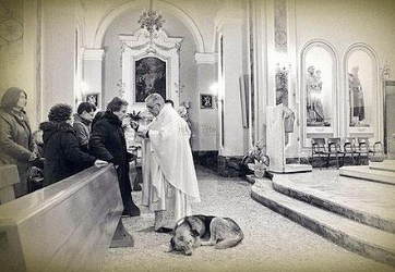 [image%255B10%255D.png]