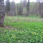 IMG_1909.jpg