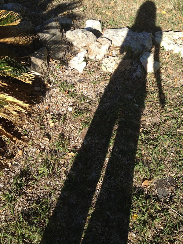 IMG_0301 IMG_0301