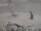 Boiling mud pool at 200 degree