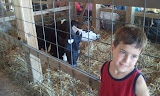 2011-08-04 14.29.17.jpg