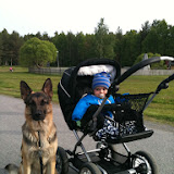 Pappa med Amos och Nora på promenad