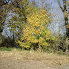 dsc05756.jpg