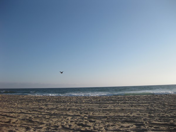 IMG_4628.JPG