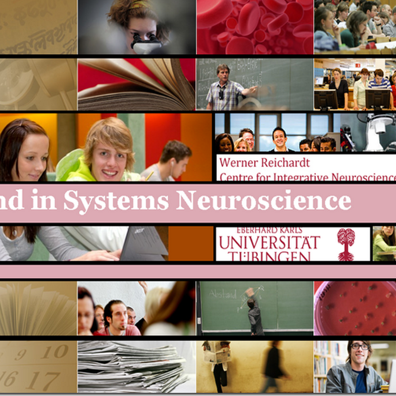 Phd in Systems Neuroscience The University of Tübingen,Center for