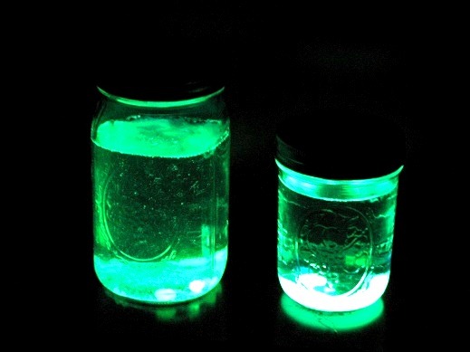 [Camping%2520lantern%2520with%2520Glow%2520asticks%255B5%255D.jpg]