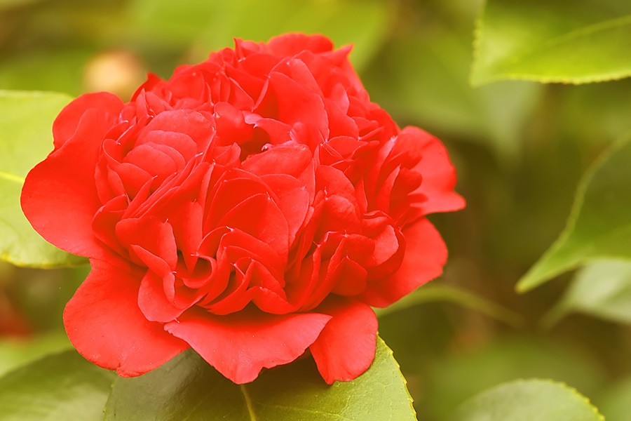 [IMG_1726w.jpg]
