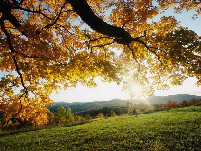 [beautiful-sunshine02%255B2%255D.jpg]