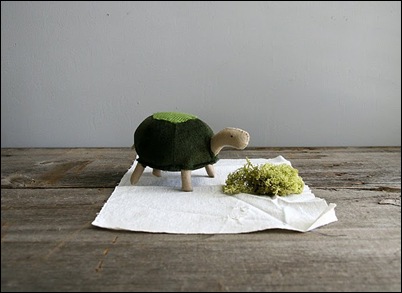 tortoise 1