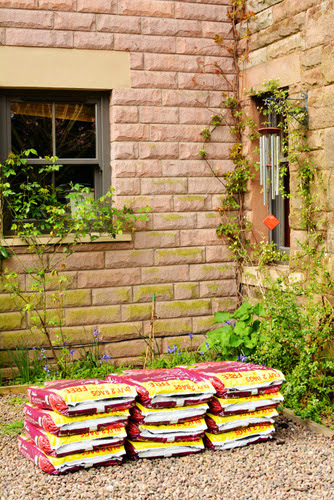 Garden 30.jpg Garden 30