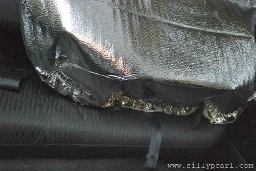 CarseatSunshade20