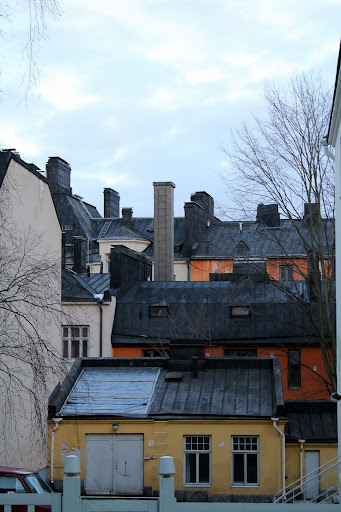 IMG_3374.JPG