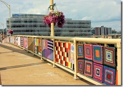 SueReno_KnitTheBridgePIttsburgh_9