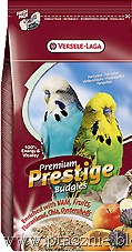 [_vyrn_149Prestige-Premium-Budgies%255B10%255D.jpg]