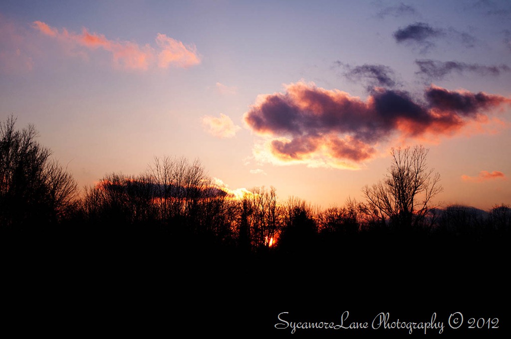 [sunset-%2520sycamoreLane%2520Photography-%2520web%255B9%255D.jpg]