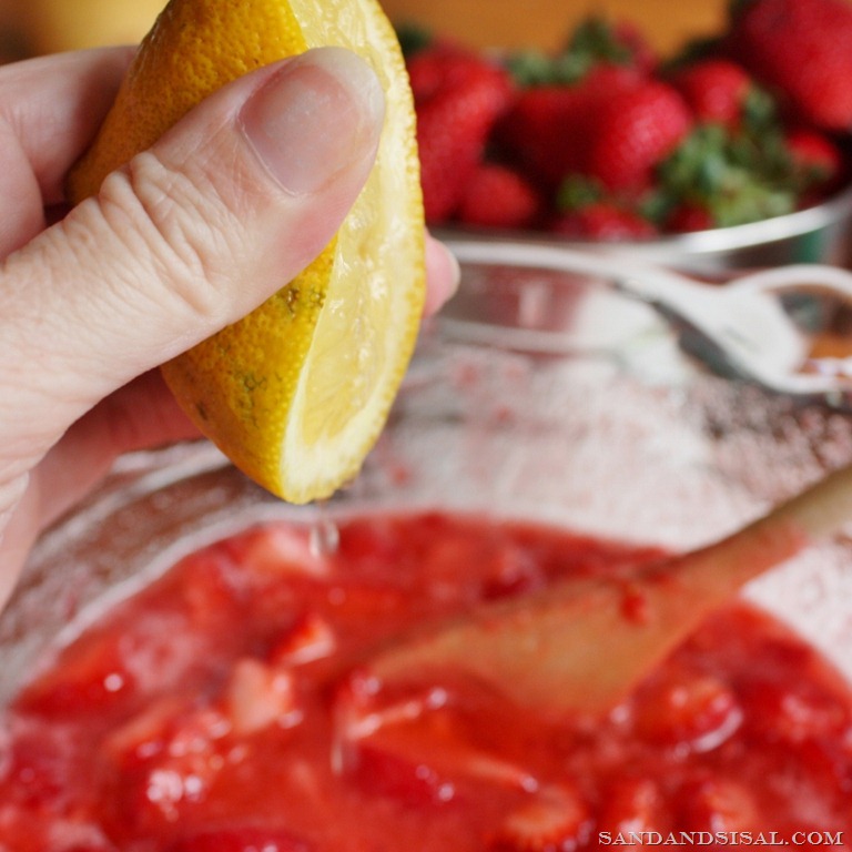 [squeeze%2520lemon%2520juice%2520in%2520strawberry%2520jam%2520%2528800x800%2529%255B11%255D.jpg]