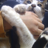 ScrapbookPhotos