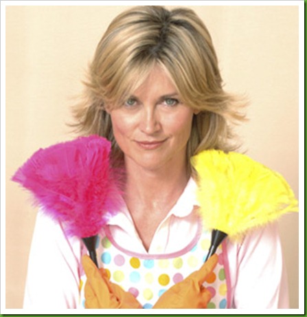 anthea turner domestic goddess