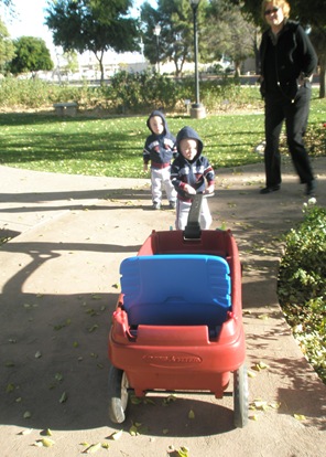 P1160264