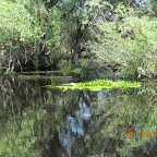 IMG_7622.JPG