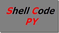 0520-shellcode_py 0520-shellcode_py