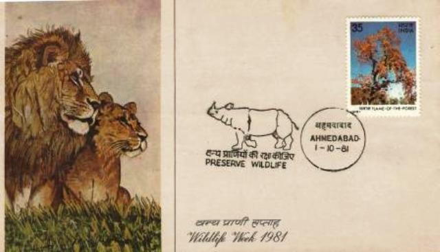 [lionnnnnn%255B6%255D.jpg]