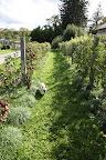 It's Apple Season at the Farm!