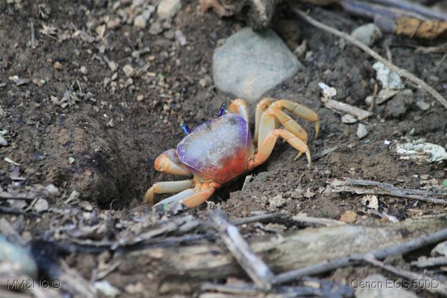 [IMG_4461%255B1%255D.jpg]