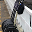 Today, We're Riding Segways - Auckland, New Zealand