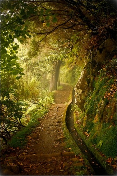 fairy path