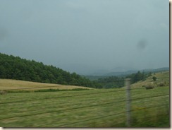 IMG_8910