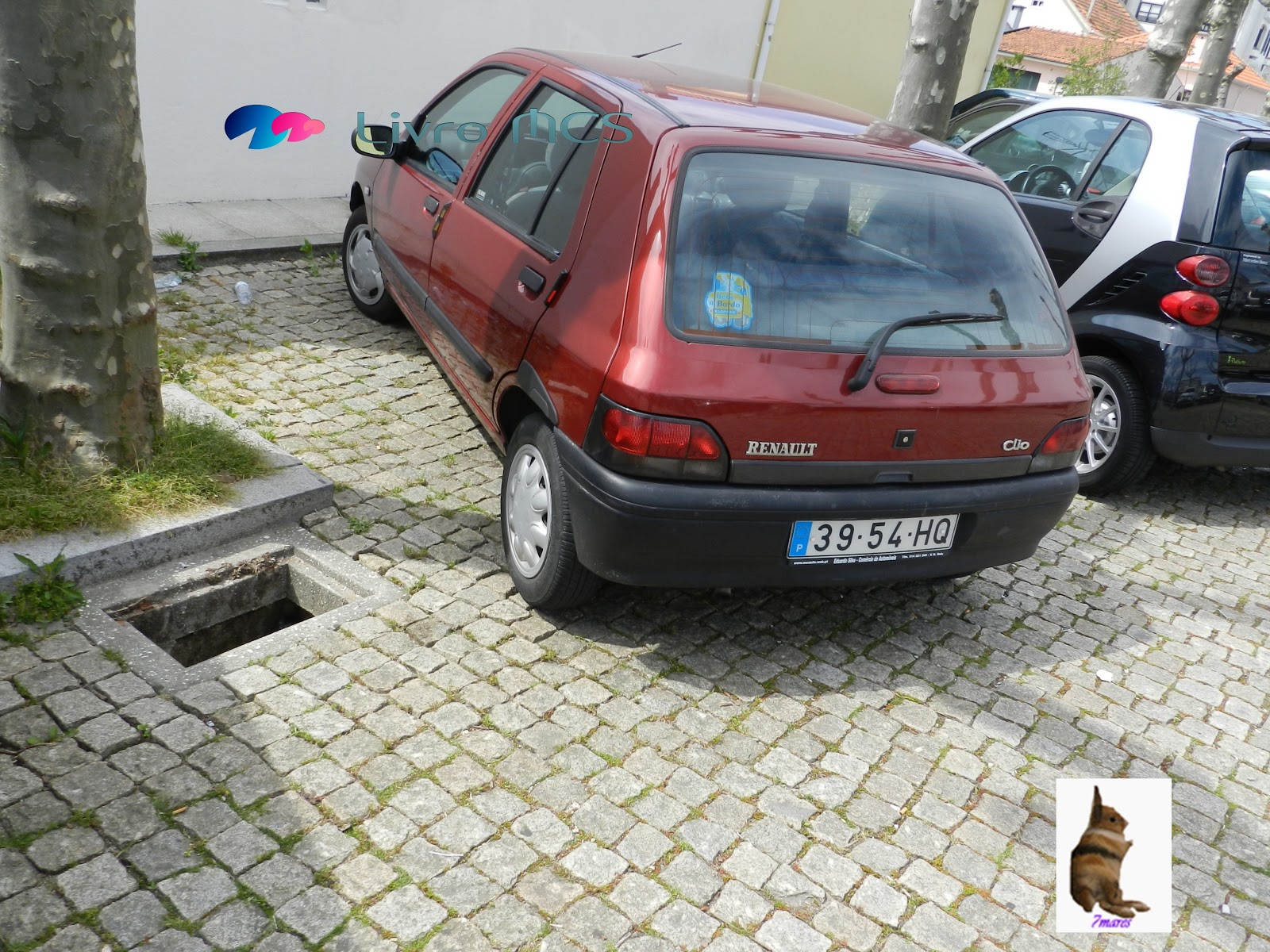 [Bolg%2520Gazeta%2520de%2520Espinho016%2520Livro%2520MCS%255B3%255D.jpg]