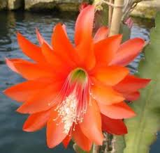 [image%255B120%255D.png]