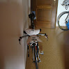 3010_DSC03894.JPG