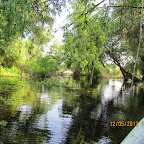 IMG_7815.JPG