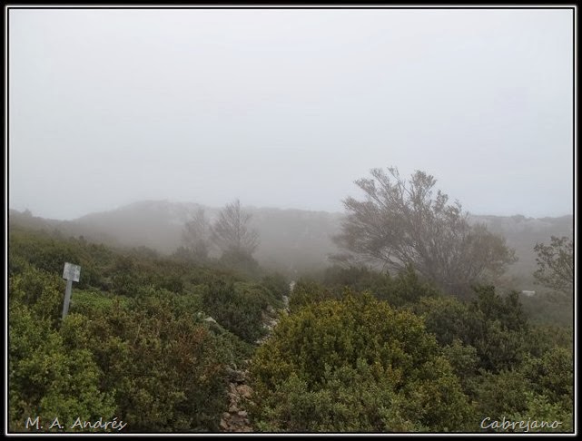 Arangoiti-Castellar 053