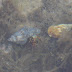 P1150244