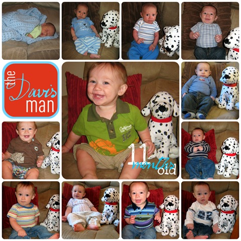 [0to11%2520month%2520collage%255B3%255D.jpg]