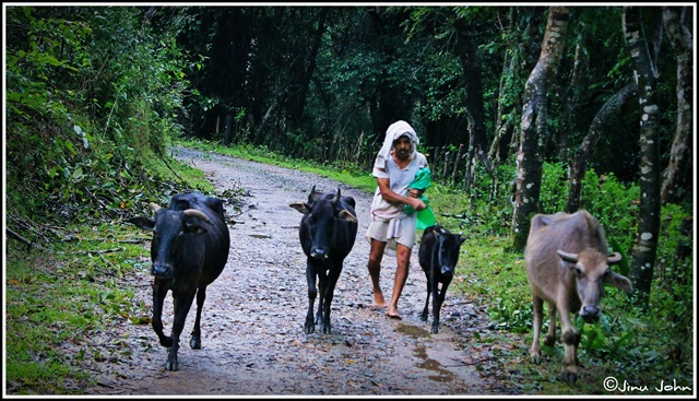 [Villagerkalasa6.jpg]