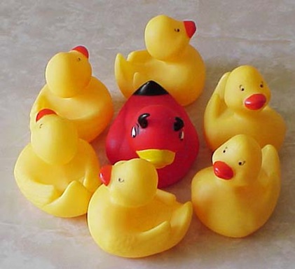 contrast duck contrast duck