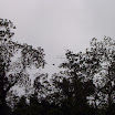 hiking_24.jpg