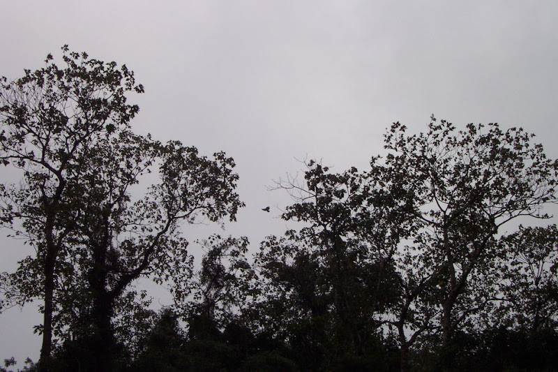 hiking_24.jpg