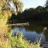 dsc03875.jpg
